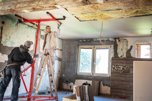 Best Insulation Installation Services in Ammon, ID