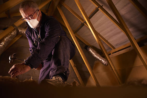 Best Residential Insulation in Ammon, ID